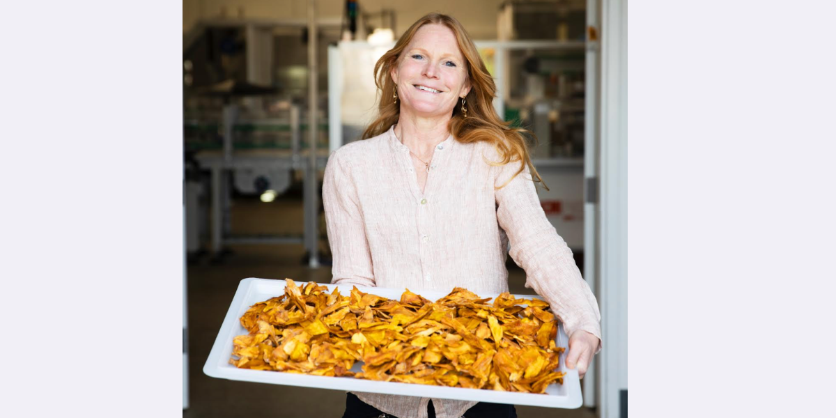 Probiotics and Prebiotics, Artificial Sweeteners, Diet, and Gut Health